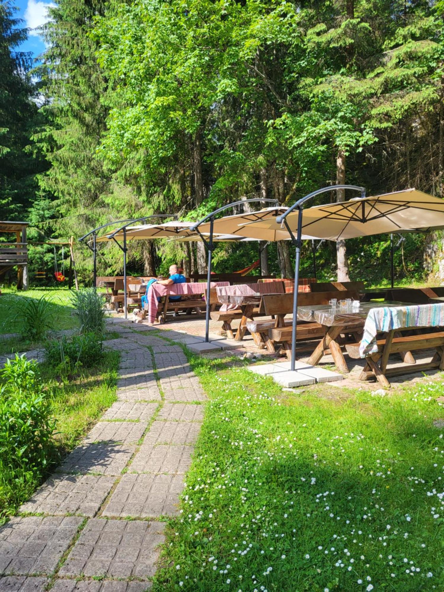Pension Cabana Cetatile Ponorului Padis Exterior photo